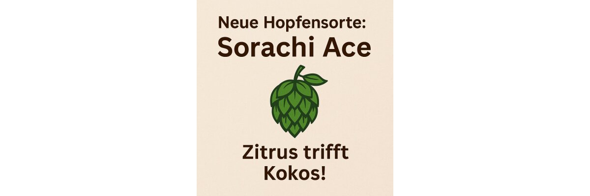 Sorachi Ace – Zitrus trifft Kokos - Neue Hopfensorte Sorachi Ace im Sortiment | Exotischer Bitterhopfen