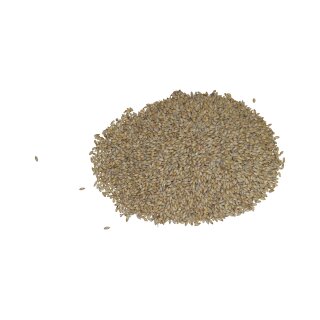 Bio Pilsner Malz ungeschrotet - 2,5 kg Beutel