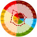 CaraBelge® 30-35 EBC - 25kg Sack