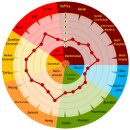 CaraRed® 40-60 EBC - 25kg Sack