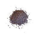 Röstgerste 1000-1300 EBC - 25kg Sack