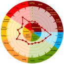 Buchenrauch-Gerstenmalz 4-8 EBC - 25kg Sack