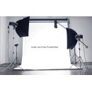 Heizstab mit 2" TC – Eintauchheizung 500 W