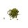 BIO Hopfenpellets Aurora - 100g